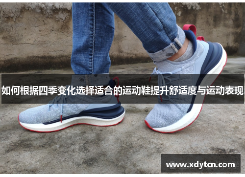 如何根据四季变化选择适合的运动鞋提升舒适度与运动表现
