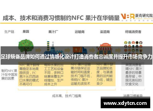 足球装备品牌如何通过情感化设计打造消费者忠诚度并提升市场竞争力