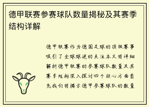 德甲联赛参赛球队数量揭秘及其赛季结构详解