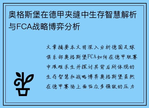 奥格斯堡在德甲夹缝中生存智慧解析与FCA战略博弈分析