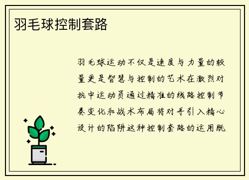 羽毛球控制套路